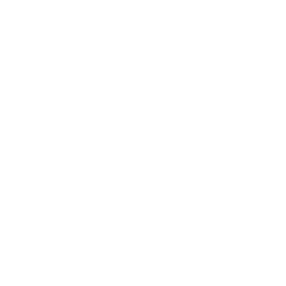 9Anime Logo